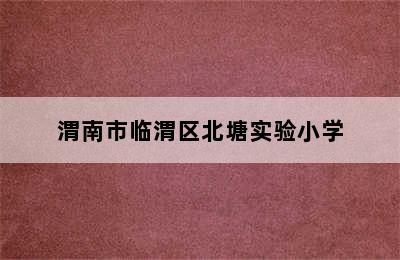 渭南市临渭区北塘实验小学