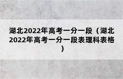 湖北2022年高考一分一段（湖北2022年高考一分一段表理科表格）