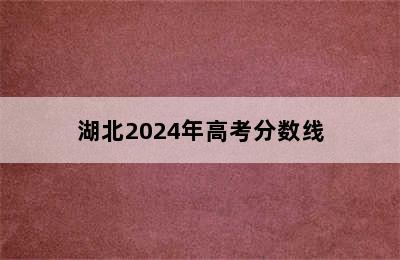 湖北2024年高考分数线