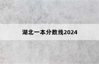 湖北一本分数线2024