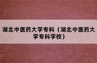 湖北中医药大学专科（湖北中医药大学专科学校）