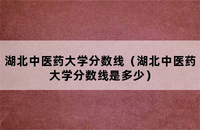 湖北中医药大学分数线（湖北中医药大学分数线是多少）