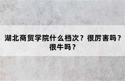 湖北商贸学院什么档次？很厉害吗？很牛吗？