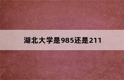 湖北大学是985还是211