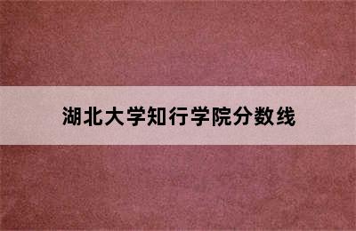 湖北大学知行学院分数线