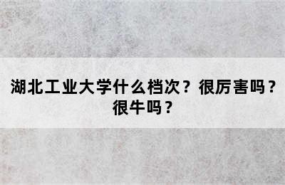 湖北工业大学什么档次？很厉害吗？很牛吗？