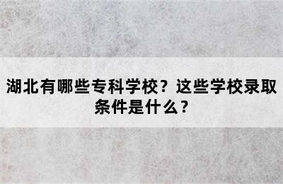 湖北有哪些专科学校？这些学校录取条件是什么？