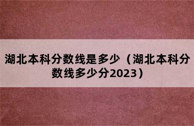 湖北本科分数线是多少（湖北本科分数线多少分2023）