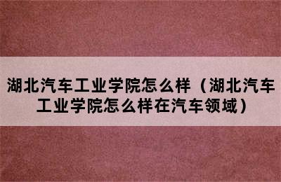 湖北汽车工业学院怎么样（湖北汽车工业学院怎么样在汽车领域）