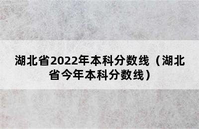 湖北省2022年本科分数线（湖北省今年本科分数线）