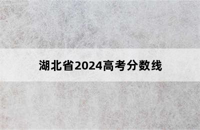 湖北省2024高考分数线