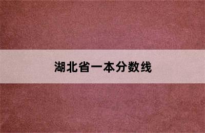 湖北省一本分数线