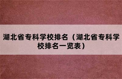 湖北省专科学校排名（湖北省专科学校排名一览表）