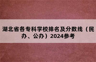 湖北省各专科学校排名及分数线（民办、公办）2024参考