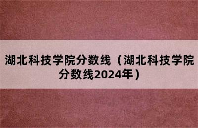 湖北科技学院分数线（湖北科技学院分数线2024年）