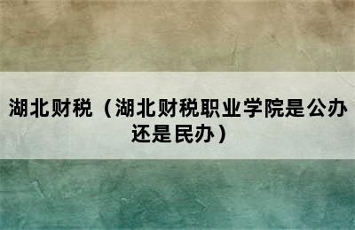 湖北财税（湖北财税职业学院是公办还是民办）