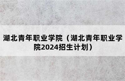 湖北青年职业学院（湖北青年职业学院2024招生计划）