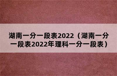 湖南一分一段表2022（湖南一分一段表2022年理科一分一段表）