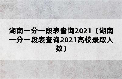 湖南一分一段表查询2021（湖南一分一段表查询2021高校录取人数）
