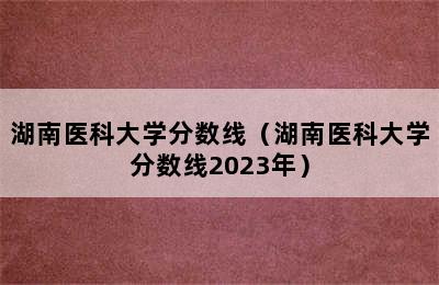 湖南医科大学分数线（湖南医科大学分数线2023年）