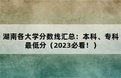 湖南各大学分数线汇总：本科、专科最低分（2023必看！）