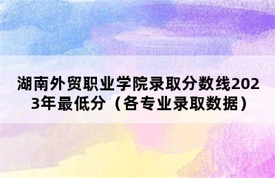 湖南外贸职业学院录取分数线2023年最低分（各专业录取数据）