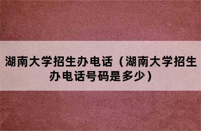 湖南大学招生办电话（湖南大学招生办电话号码是多少）