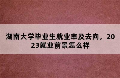 湖南大学毕业生就业率及去向，2023就业前景怎么样