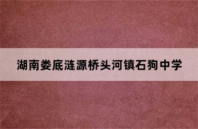 湖南娄底涟源桥头河镇石狗中学