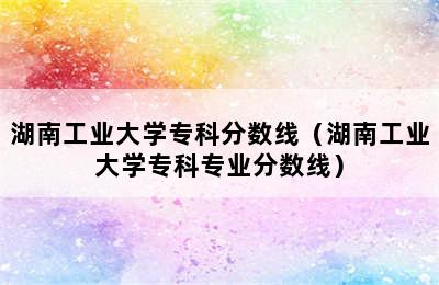 湖南工业大学专科分数线（湖南工业大学专科专业分数线）