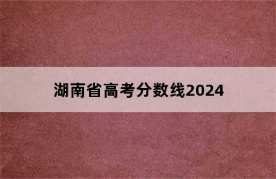 湖南省高考分数线2024