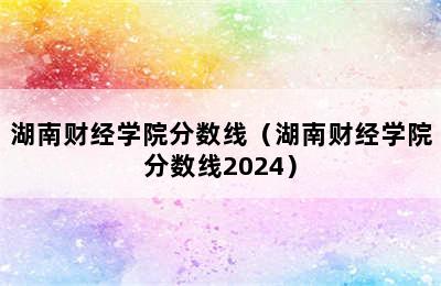 湖南财经学院分数线（湖南财经学院分数线2024）