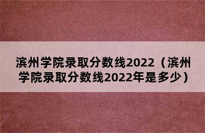 滨州学院录取分数线2022（滨州学院录取分数线2022年是多少）