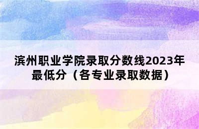 滨州职业学院录取分数线2023年最低分（各专业录取数据）