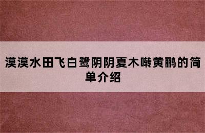 漠漠水田飞白鹭阴阴夏木啭黄鹂的简单介绍