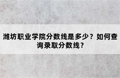 潍坊职业学院分数线是多少？如何查询录取分数线？