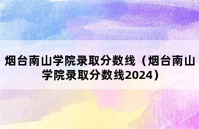 烟台南山学院录取分数线（烟台南山学院录取分数线2024）