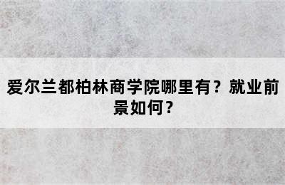 爱尔兰都柏林商学院哪里有？就业前景如何？