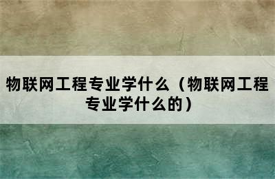 物联网工程专业学什么（物联网工程专业学什么的）