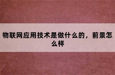 物联网应用技术是做什么的，前景怎么样