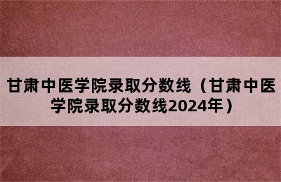 甘肃中医学院录取分数线（甘肃中医学院录取分数线2024年）