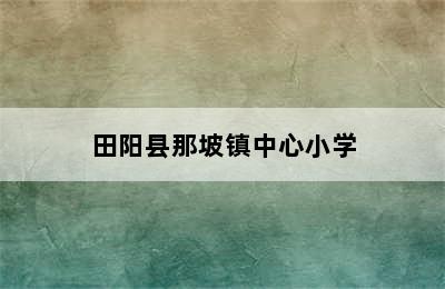 田阳县那坡镇中心小学