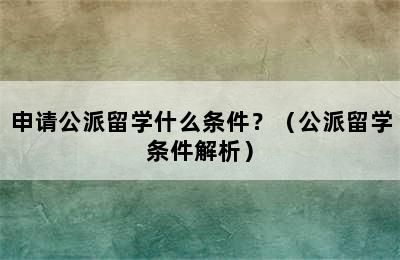 申请公派留学什么条件？（公派留学条件解析）