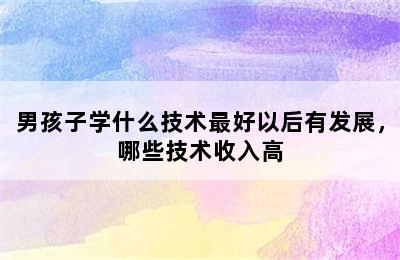 男孩子学什么技术最好以后有发展，哪些技术收入高