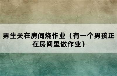 男生关在房间烧作业（有一个男孩正在房间里做作业）