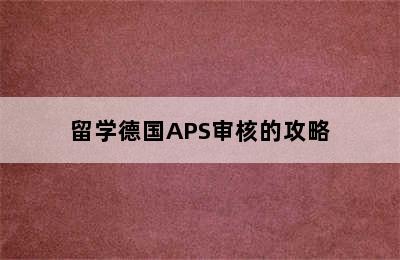 留学德国APS审核的攻略