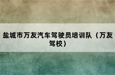 盐城市万友汽车驾驶员培训队（万友驾校）