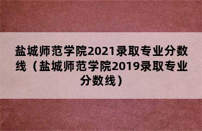 盐城师范学院2021录取专业分数线（盐城师范学院2019录取专业分数线）