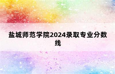 盐城师范学院2024录取专业分数线