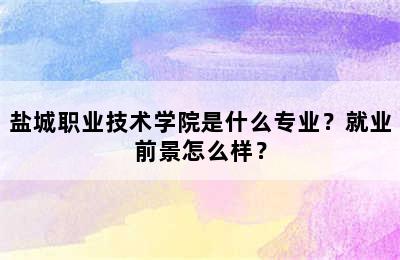 盐城职业技术学院是什么专业？就业前景怎么样？